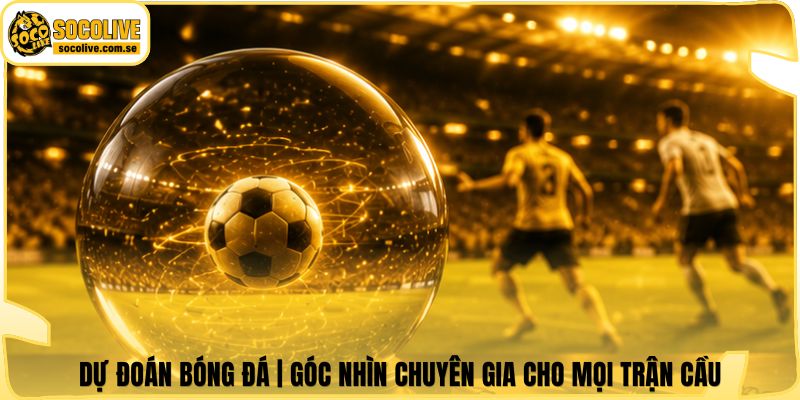 Dự Đoán Bóng Đá | Góc Nhìn Chuyên Gia Cho Mọi Trận Cầu 4 Dự Đoán Bóng Đá | Góc Nhìn Chuyên Gia Cho Mọi Trận Cầu